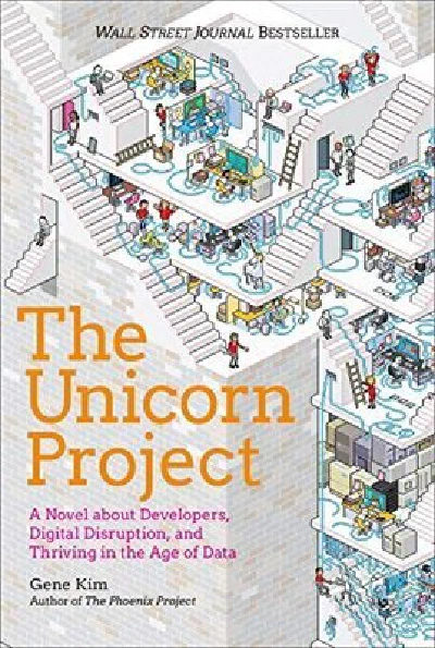 The Unicorn Project (original)