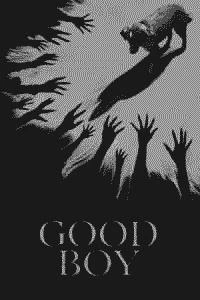 Good Boy