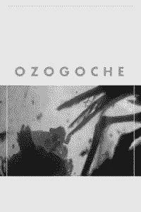 Ozogoche