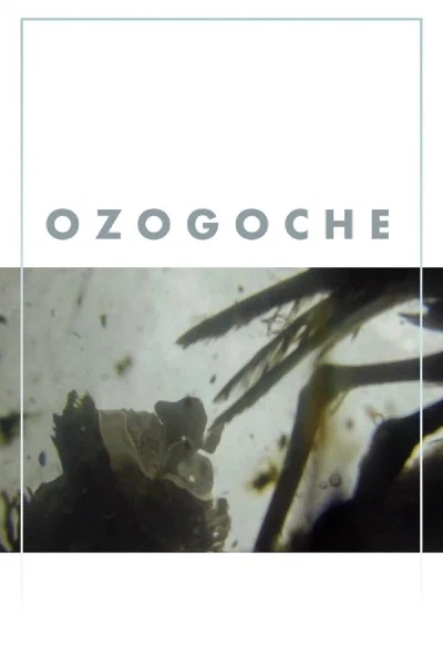 Ozogoche (original)