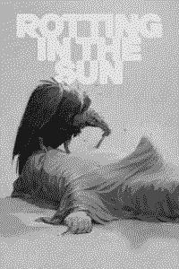Rotting In The Sun