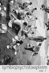 Symbiopsychotaxiplasm Take One