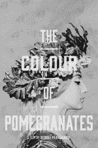 The Color Of Pomegranates