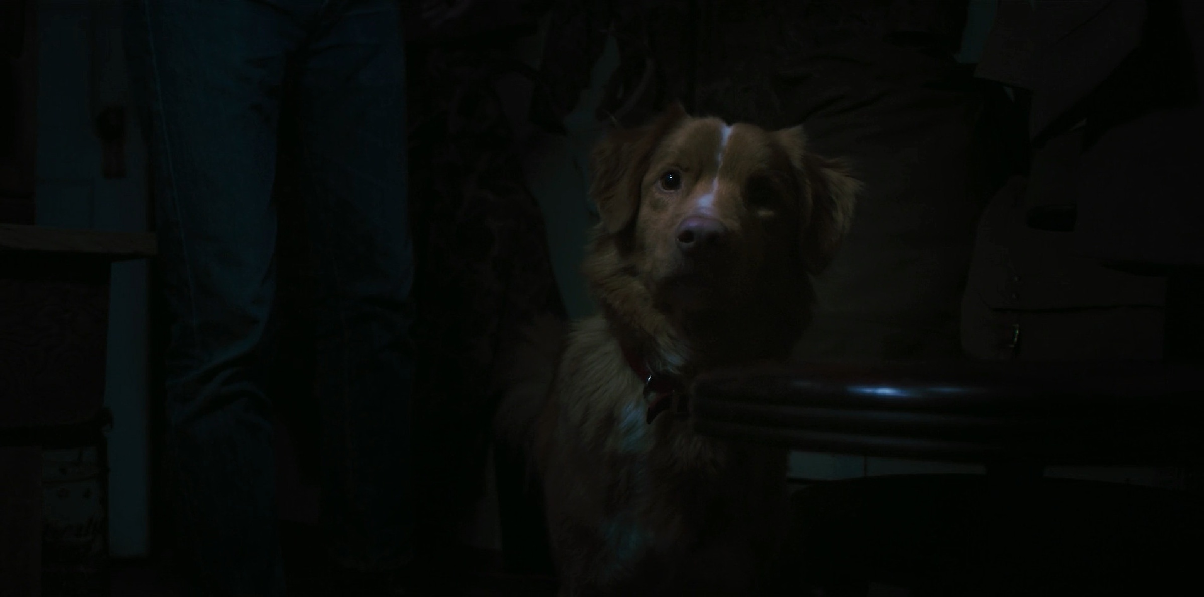 Good Boy scene 4