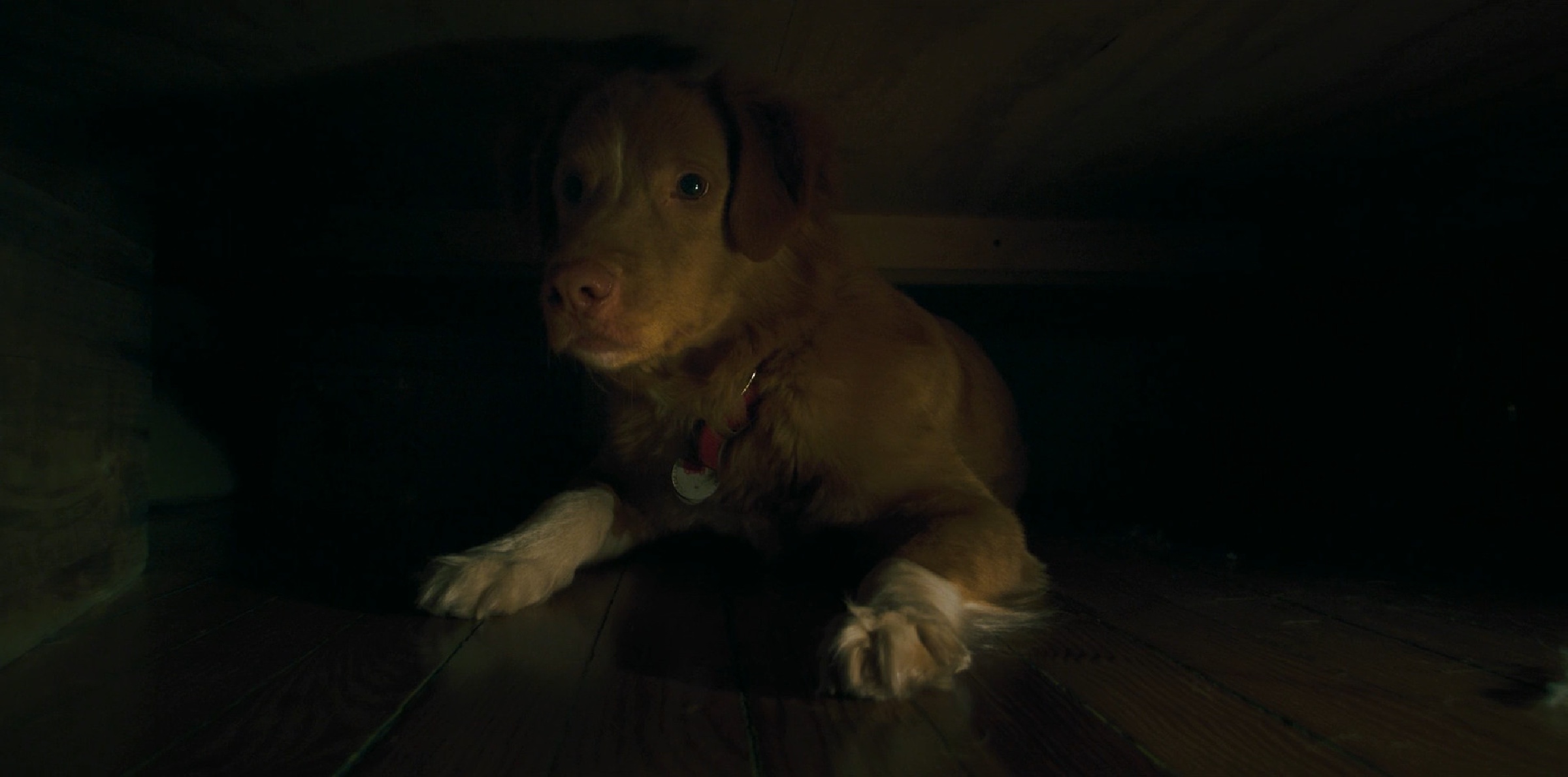 Good Boy scene 7