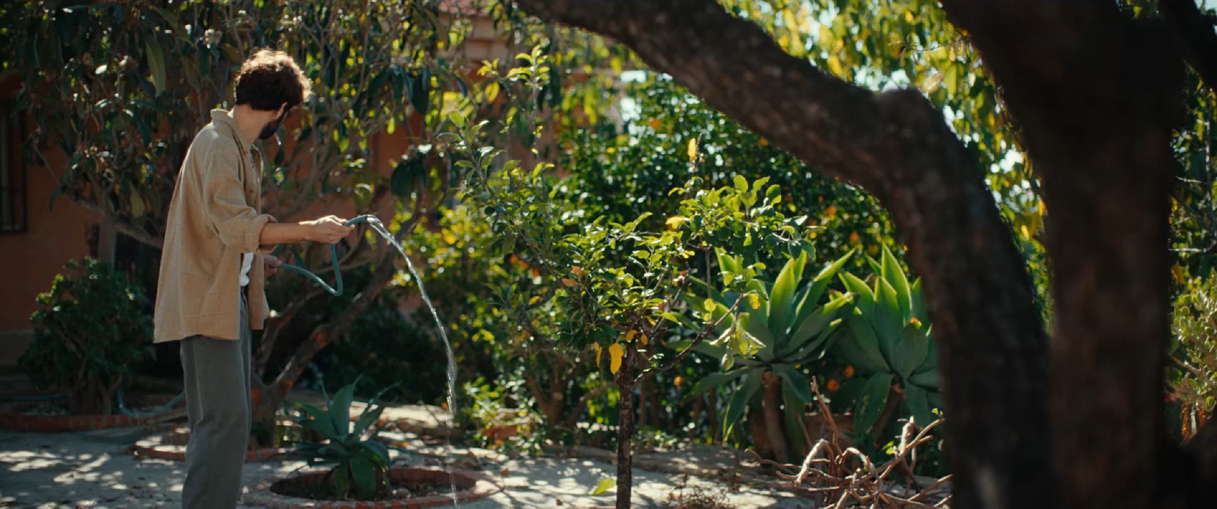 La Casa scene 3