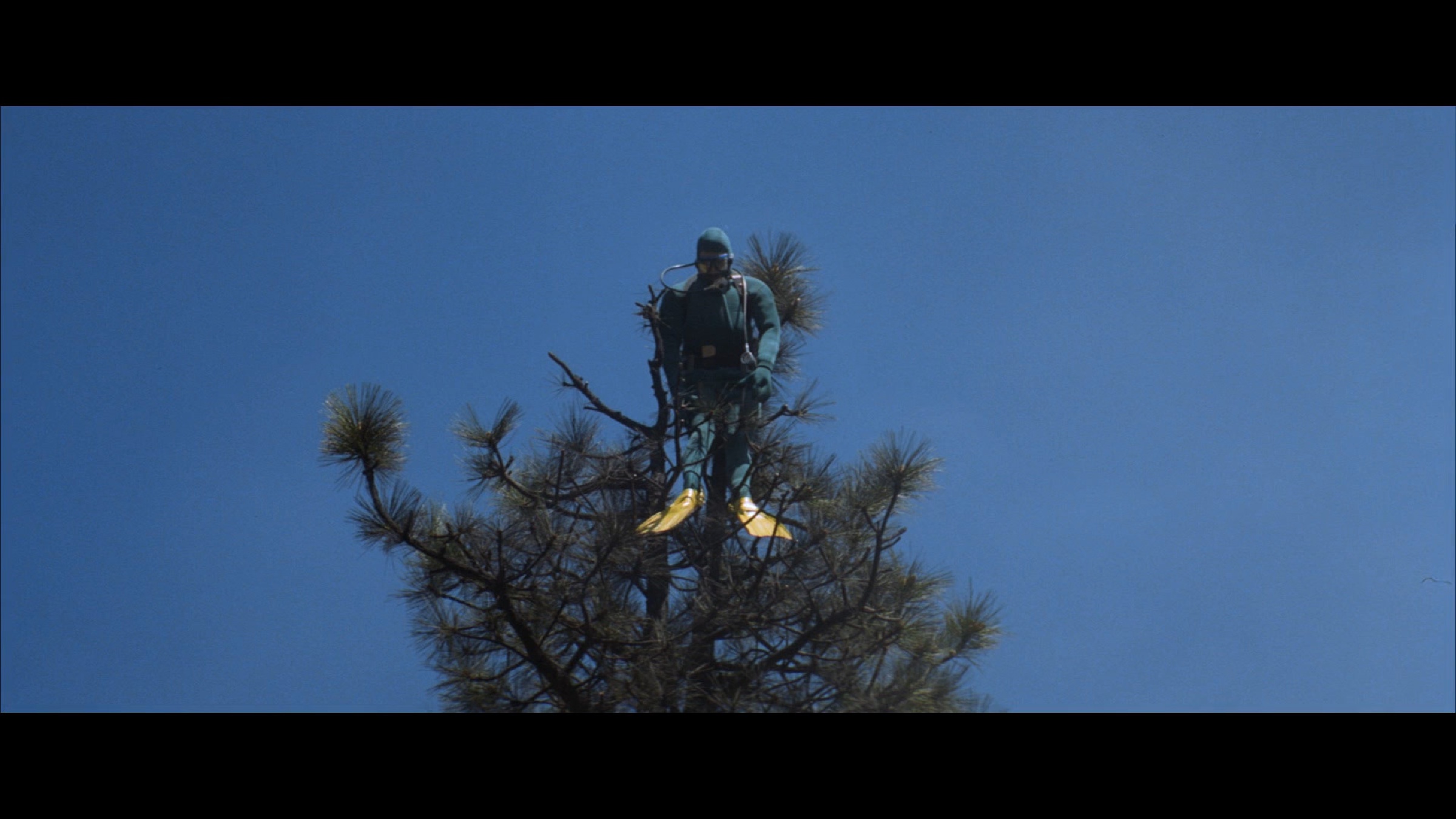 Magnolia scene 1