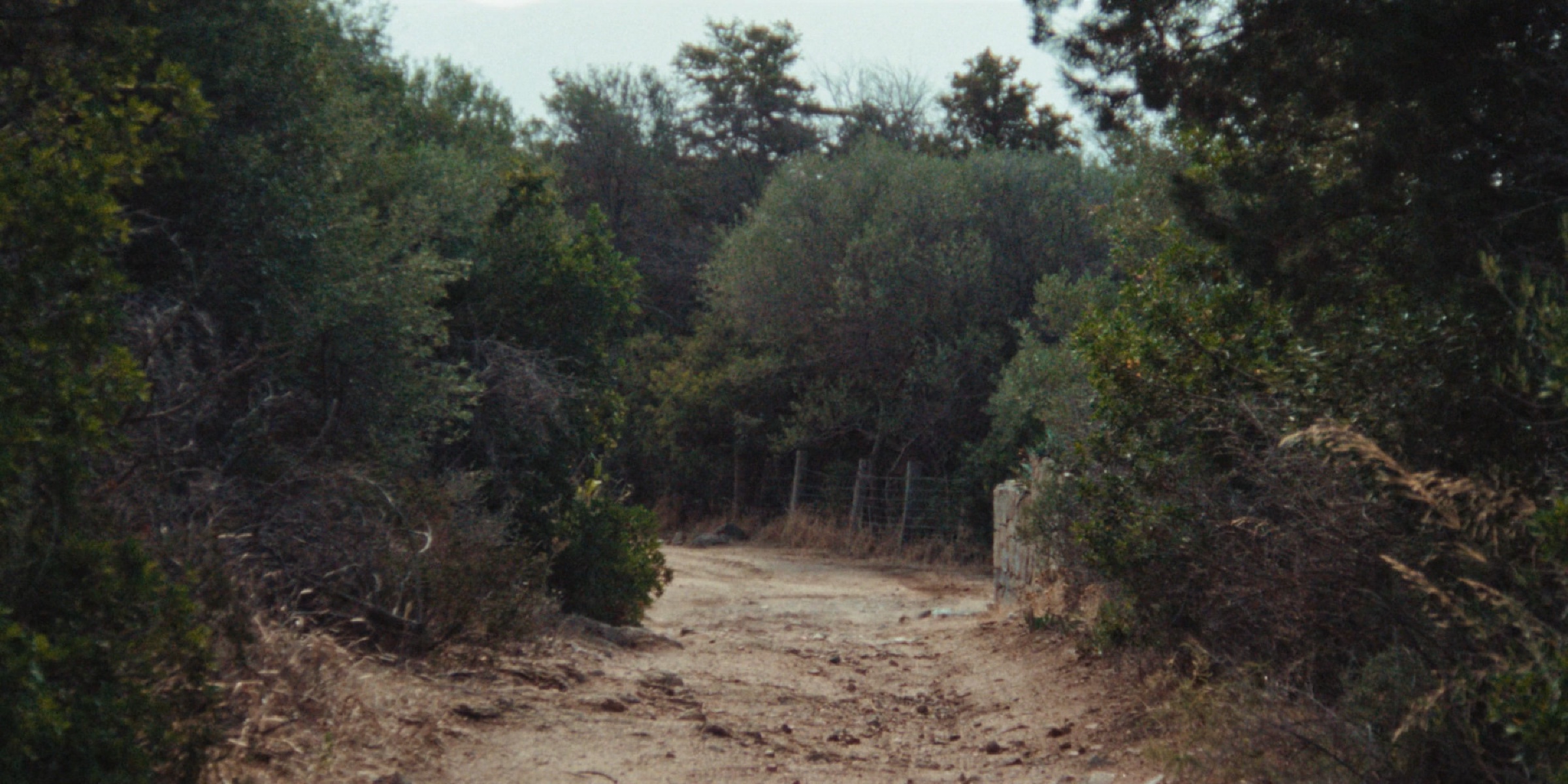 Le Royaume scene 7