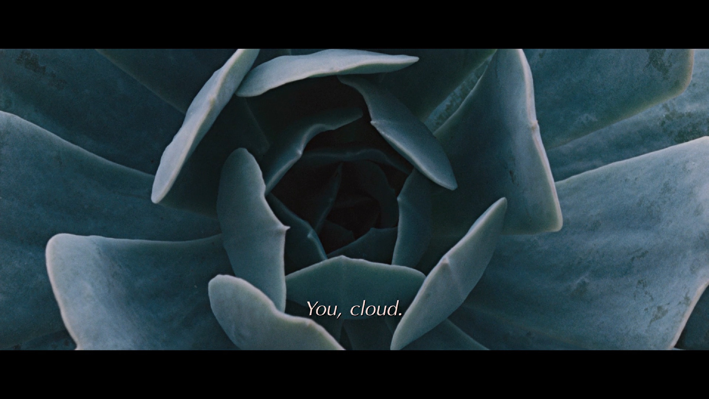 To The Wonder scene 3