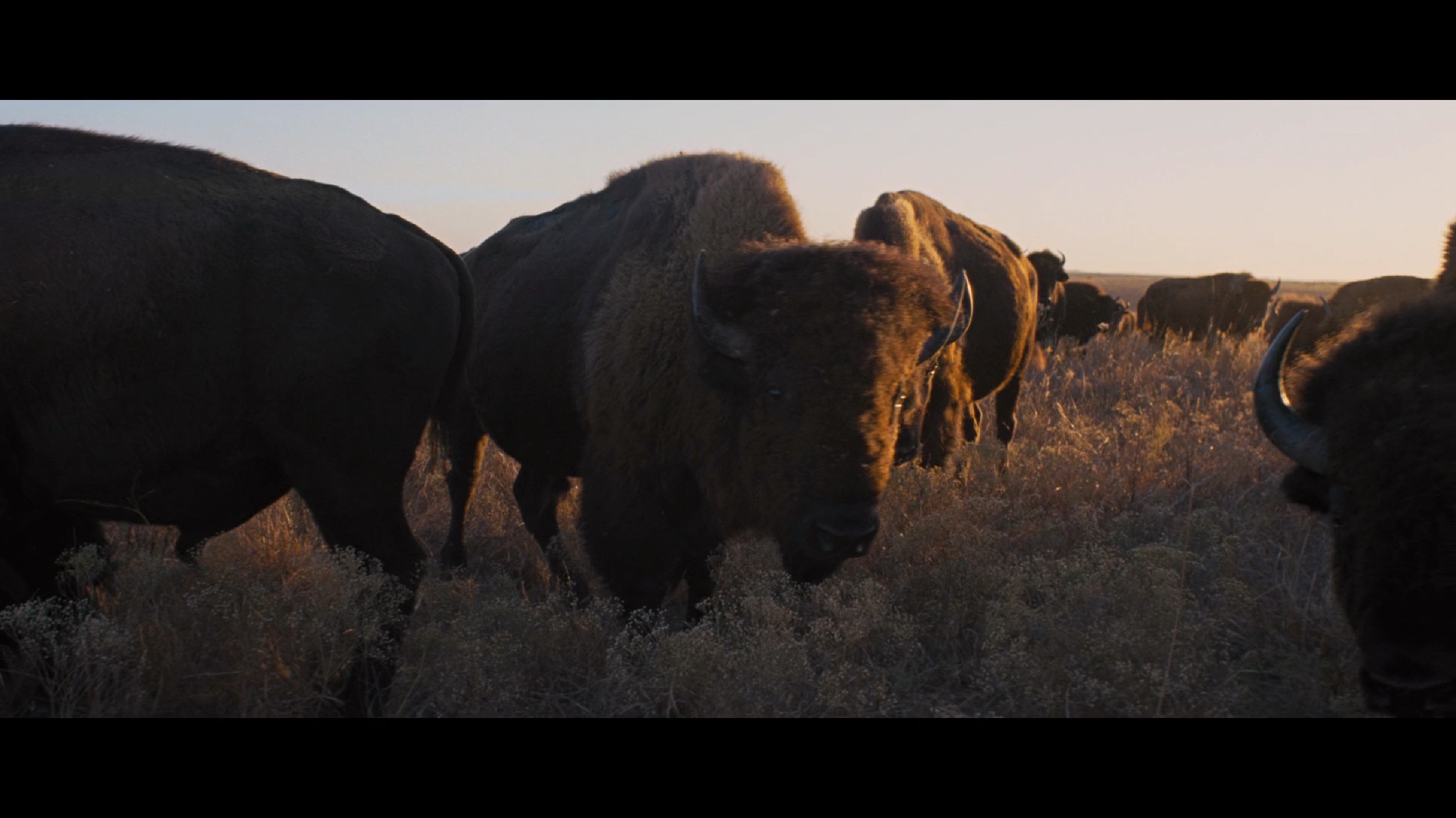 To The Wonder scene 16