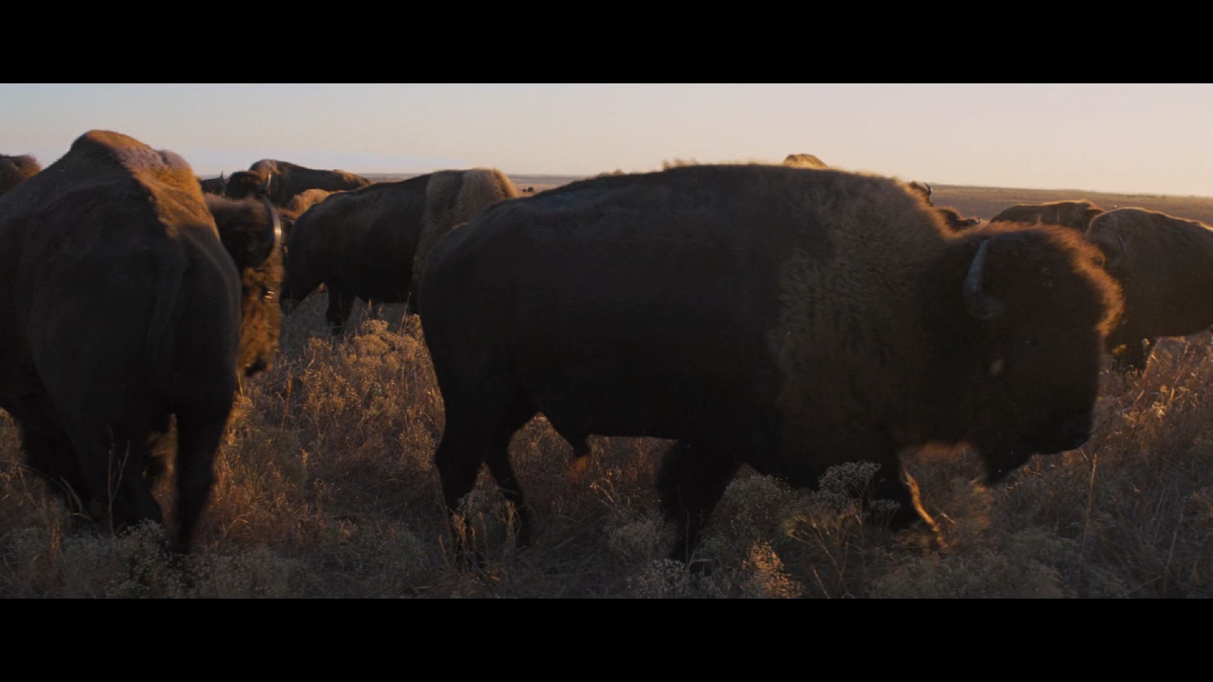 To The Wonder scene 17