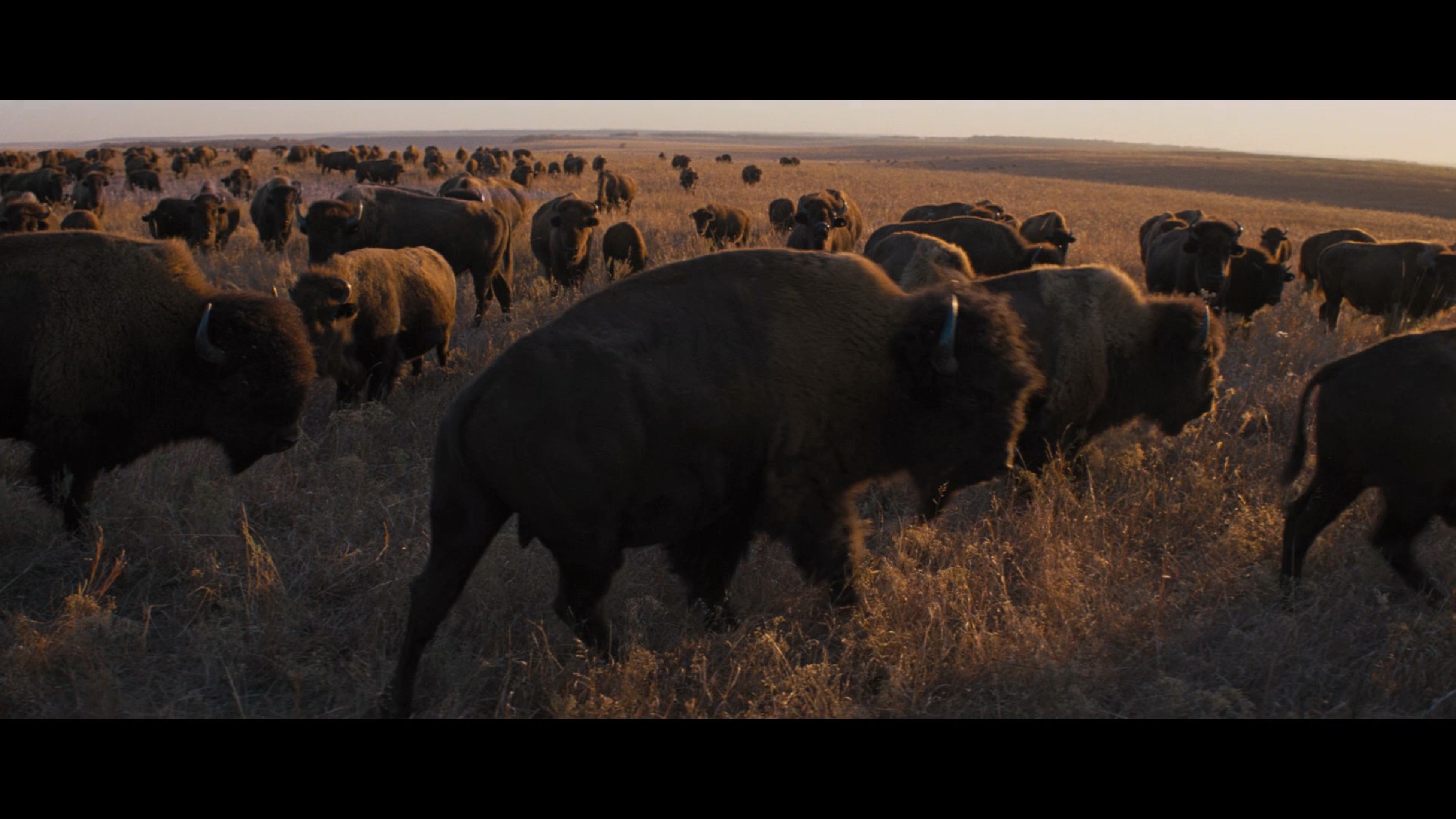 To The Wonder scene 18