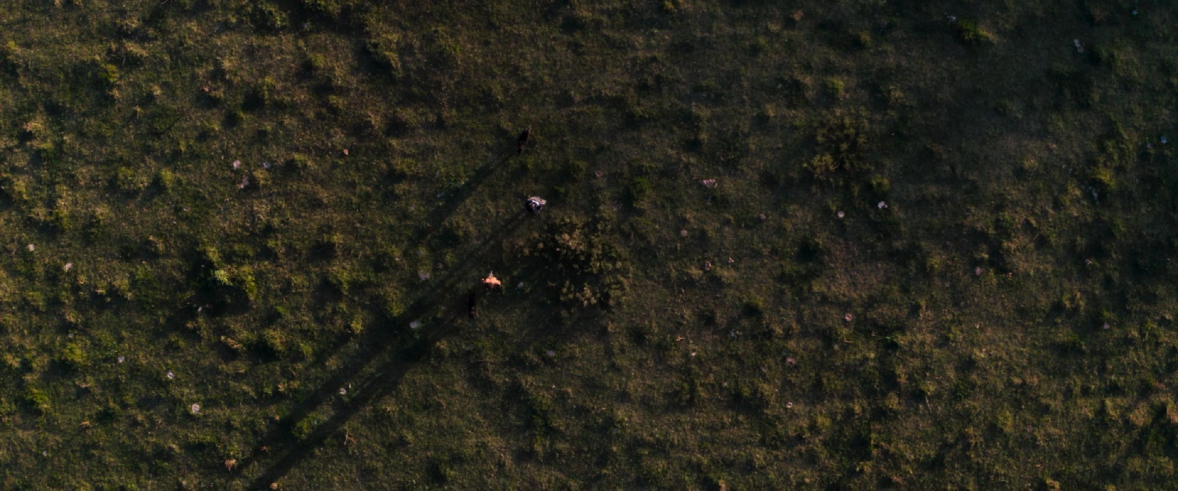 Cuando acecha la maldad - Scene 1