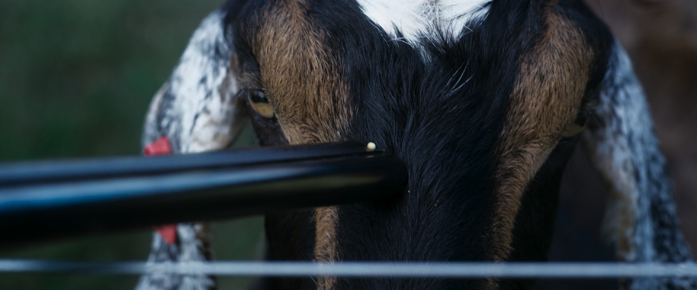 Cuando acecha la maldad - Scene 3