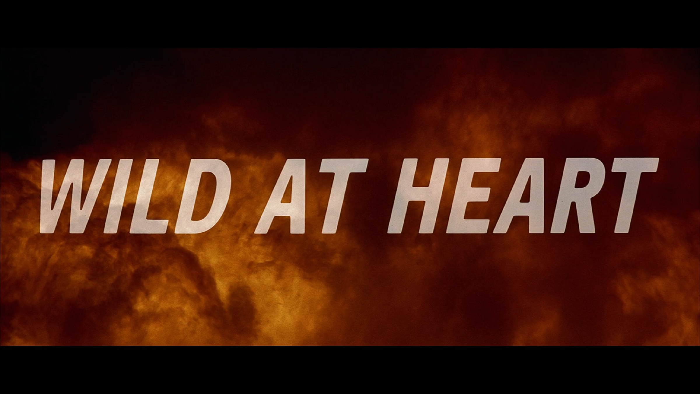 Wild At Heart scene 1