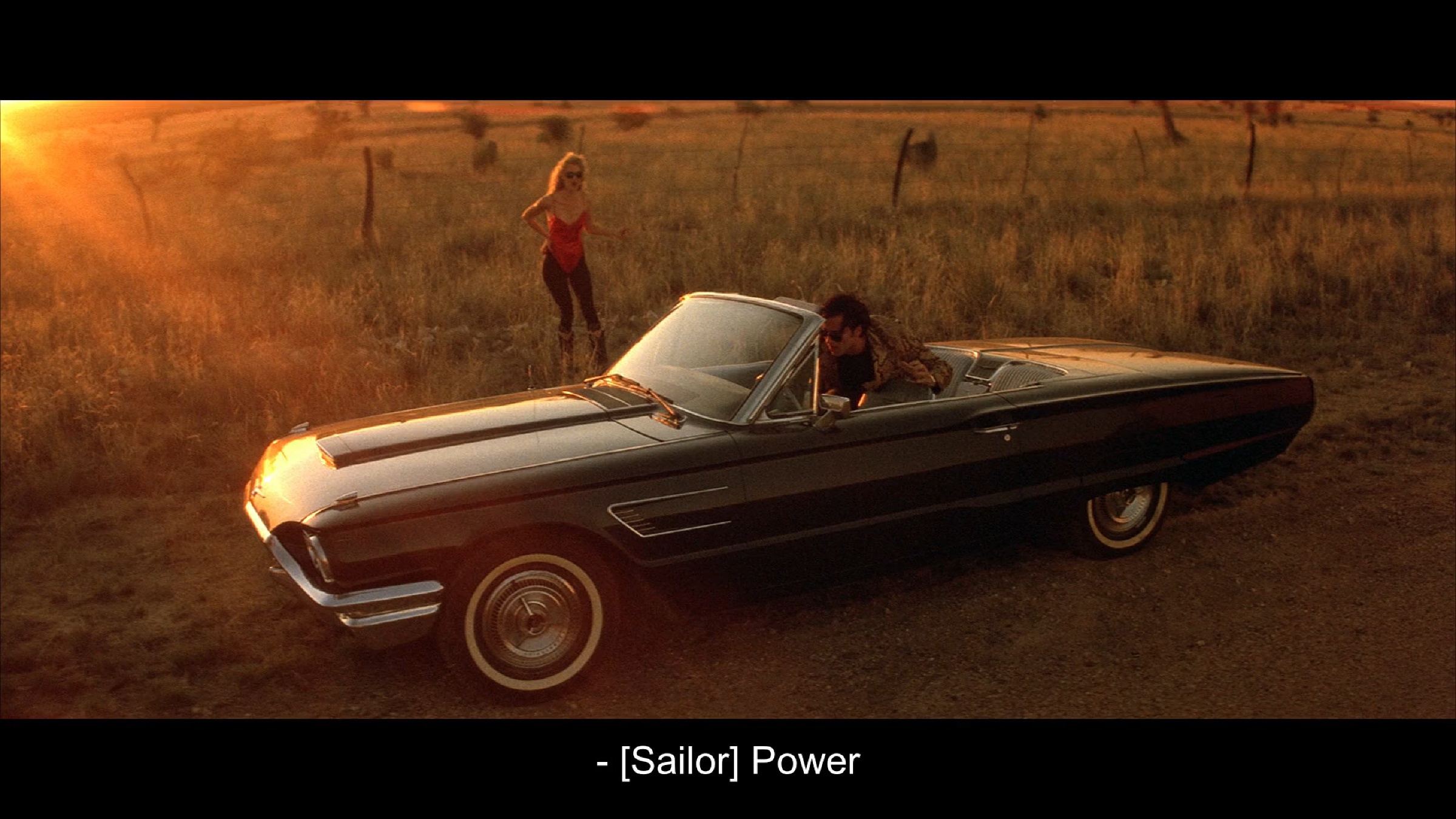 Wild At Heart scene 6