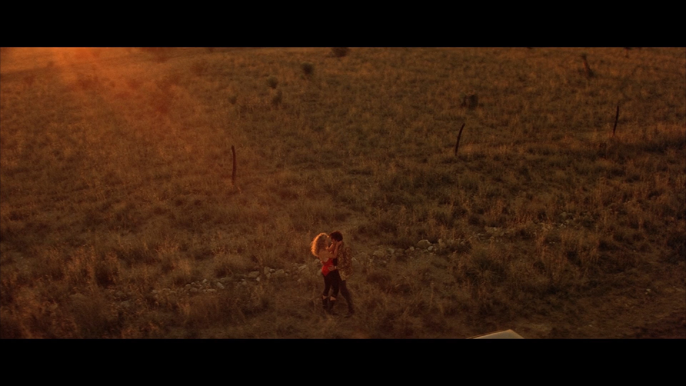 Wild At Heart scene 7