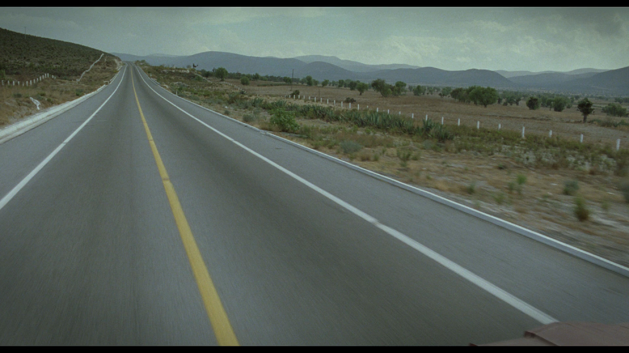 Y tu mama tambien scene 5