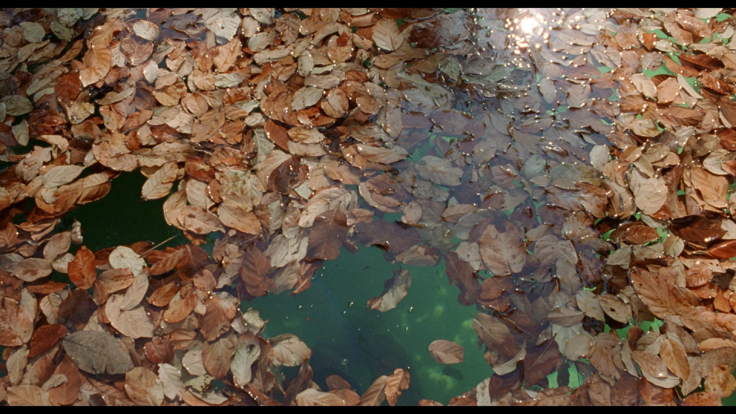 Y tu mama tambien scene 8