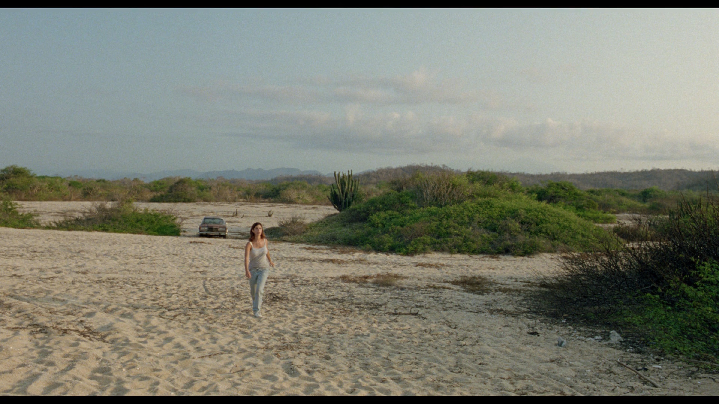 Y tu mama tambien scene 9